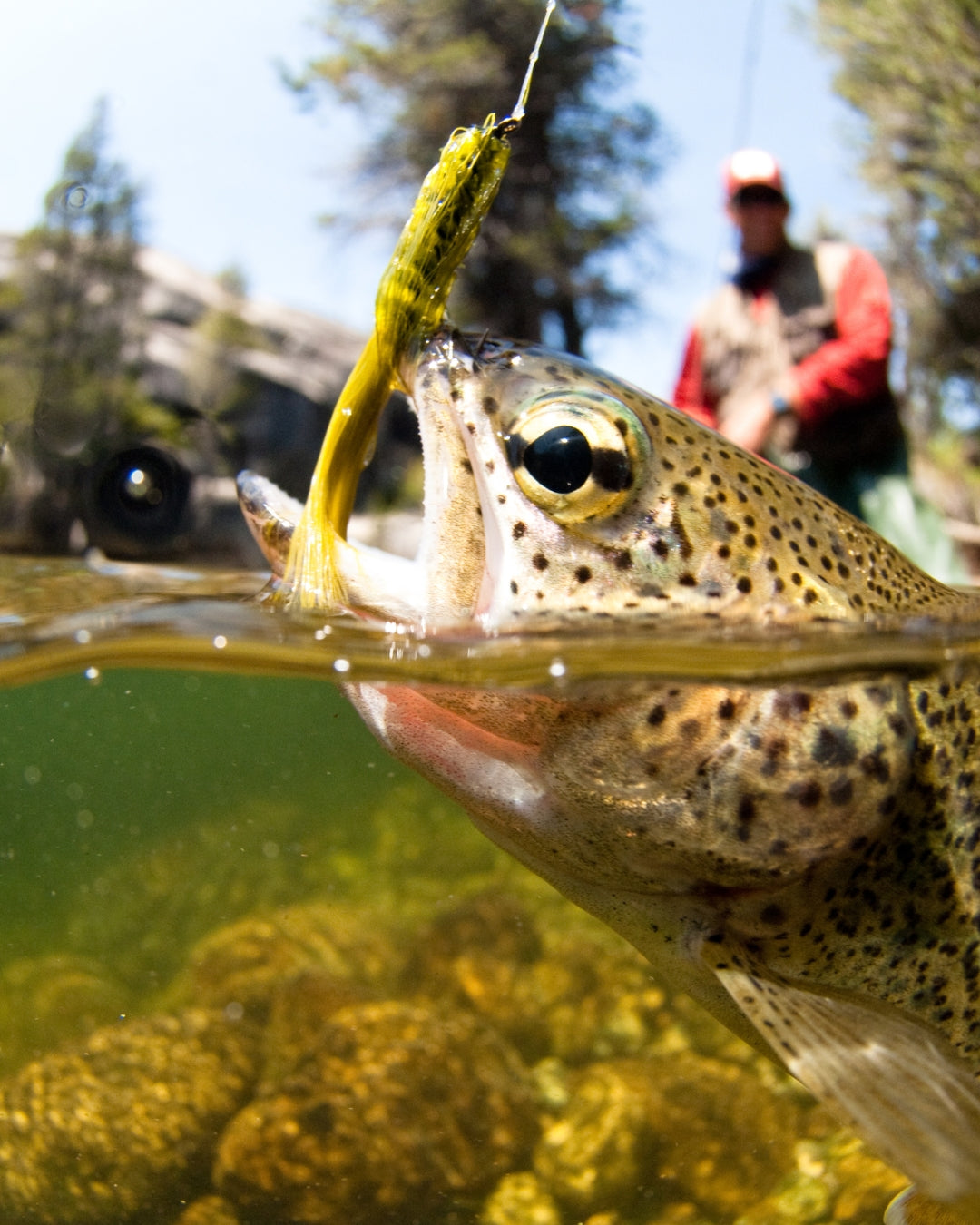 Fishing Gear