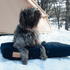 White Duck Dog Bed