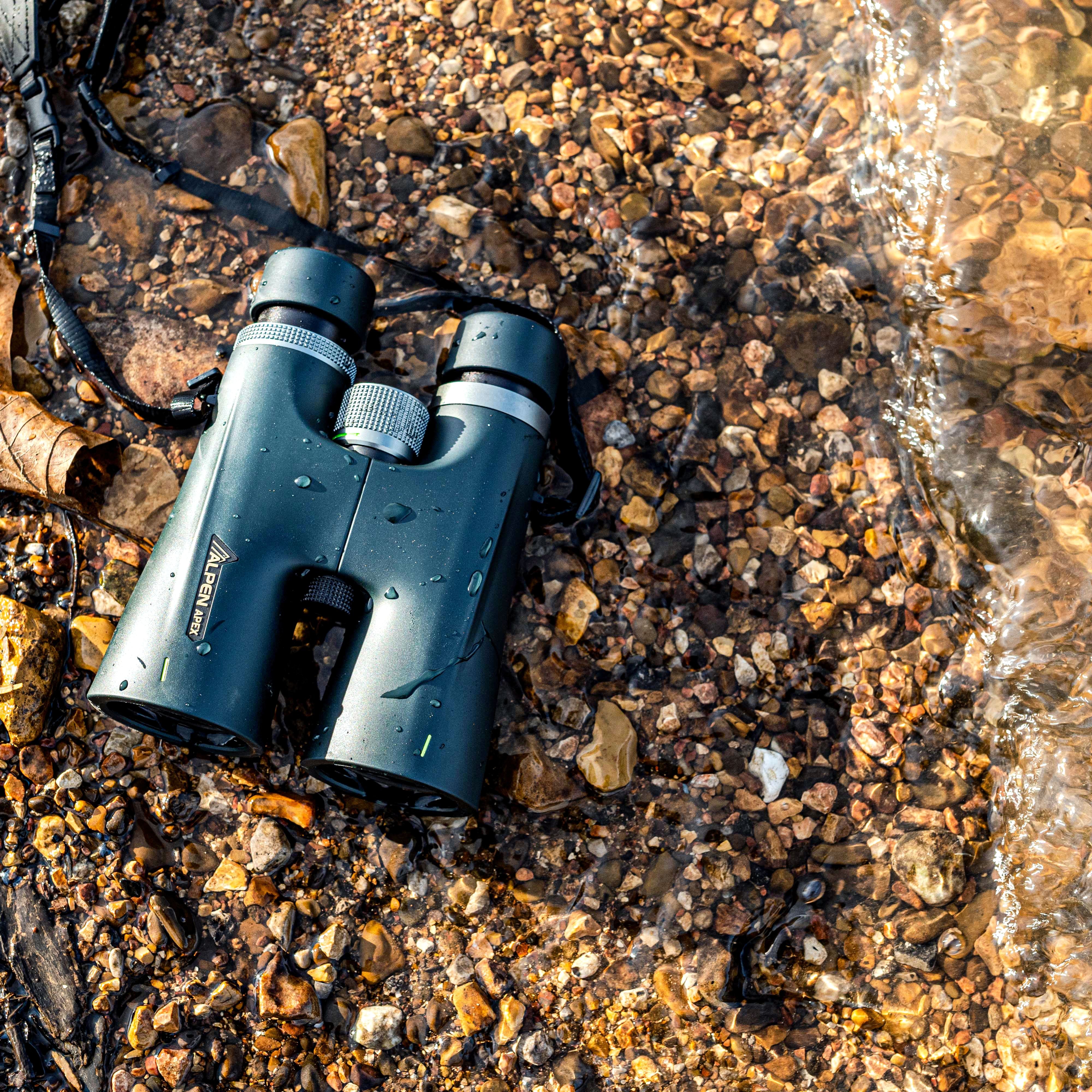 Alpen Apex 10x50 Binoculars — product view 2