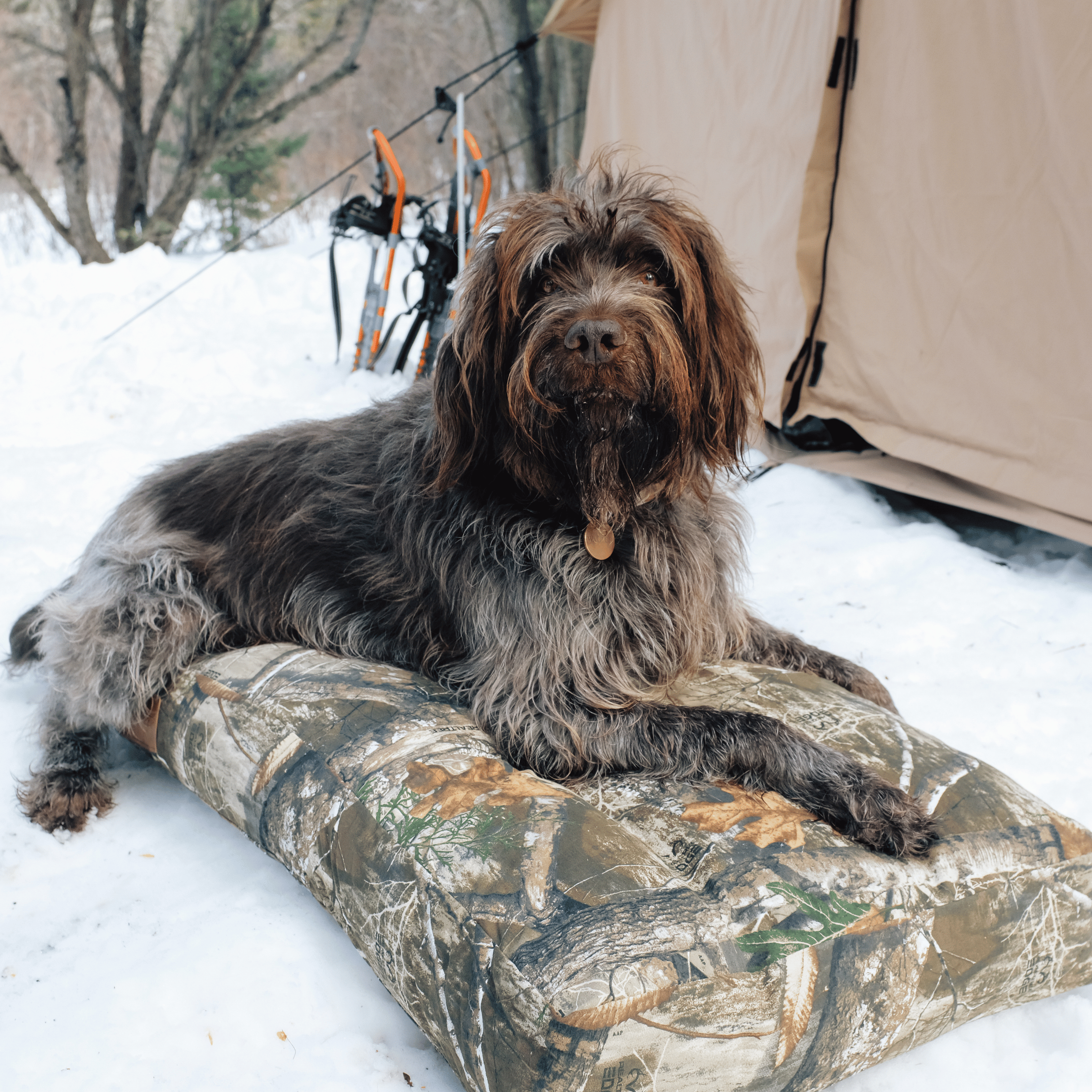 White Duck Dog Bed