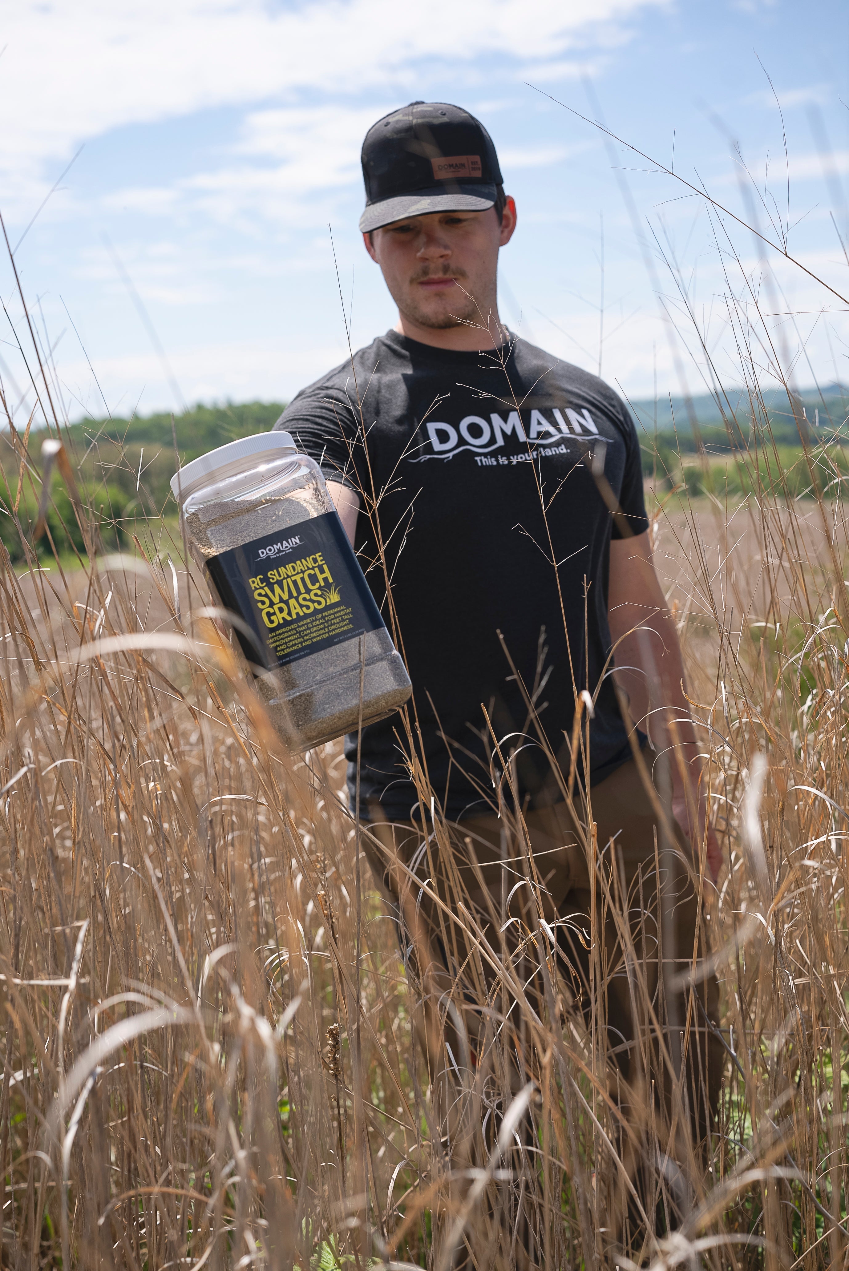 RC Sundance Switchgrass Habitat Seed by Domain Outdoor - product image 4