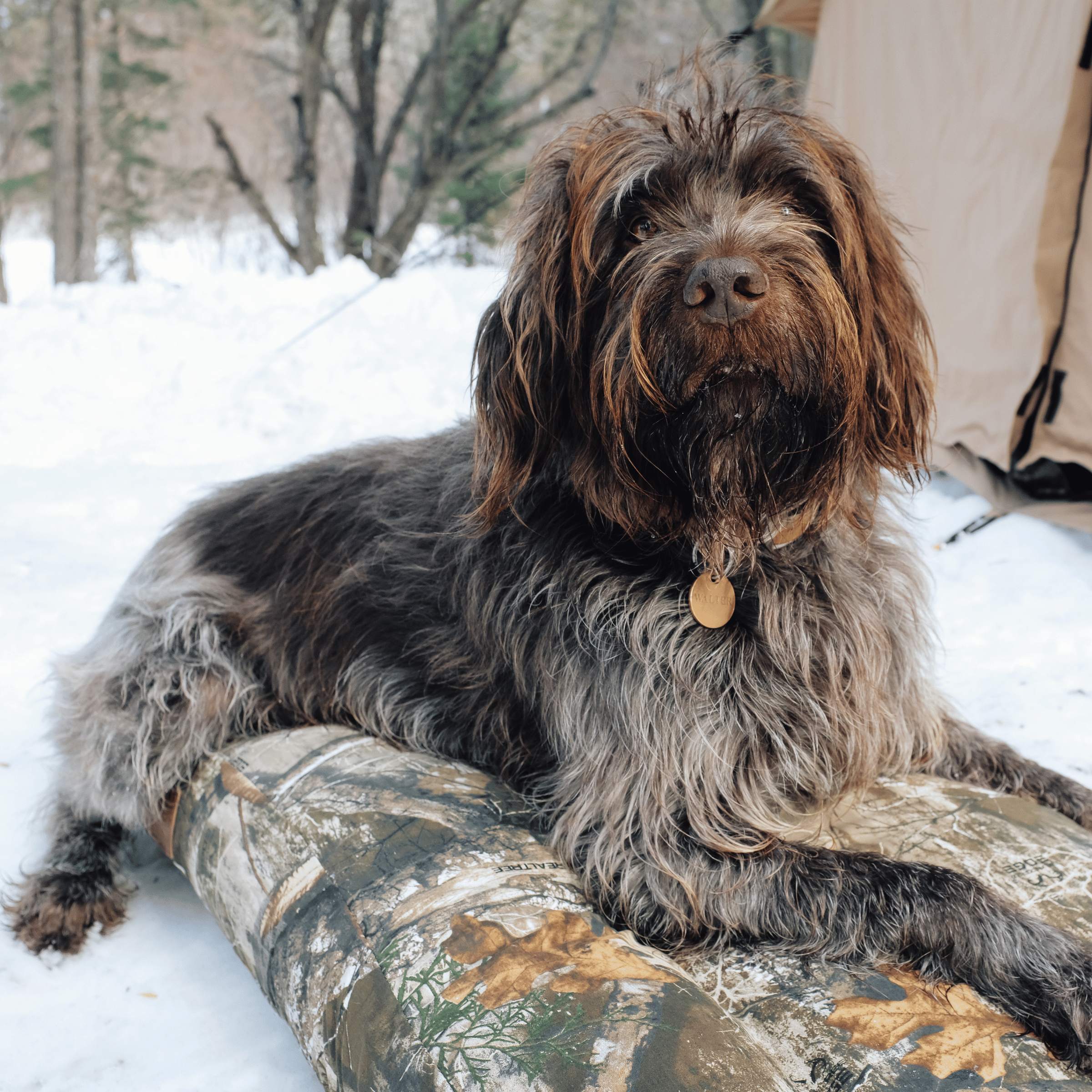 White Duck Dog Bed