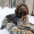 White Duck Dog Bed