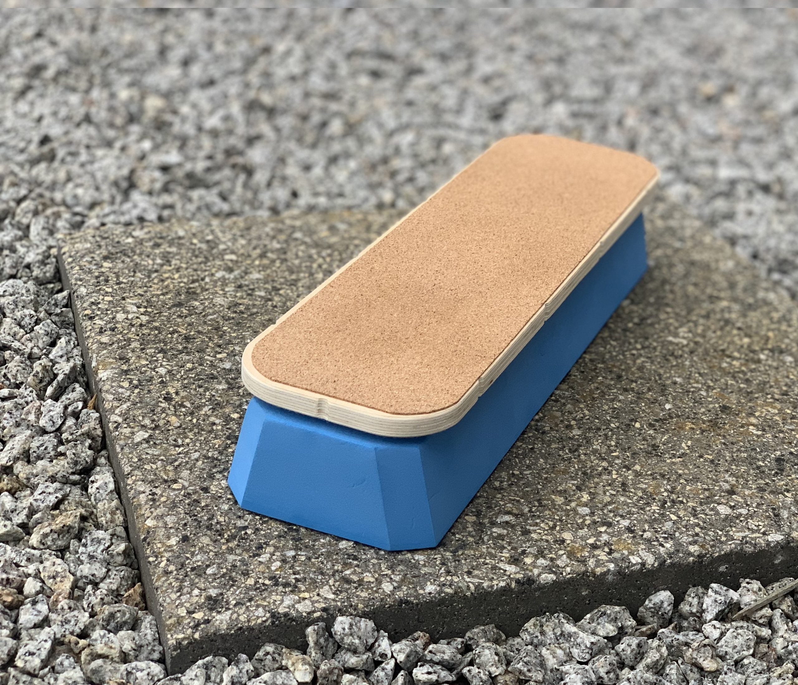 SteadySole Foot Balance Board PRO by Muscle Mountain