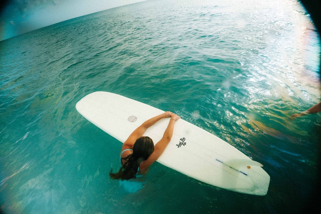 STCo. Just The Tip Noserider Longboard – Cutlap Sage EPS