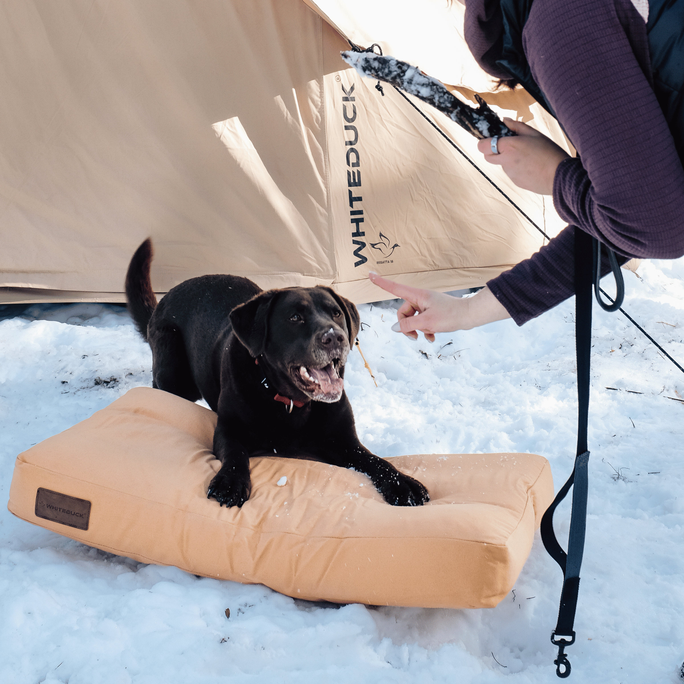 White Duck Dog Bed