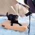 White Duck Dog Bed