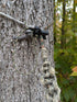 3D Hunting Solutions T-REX Tether Clip - Mobile / Saddle Hunting / One Sticking — product view 2