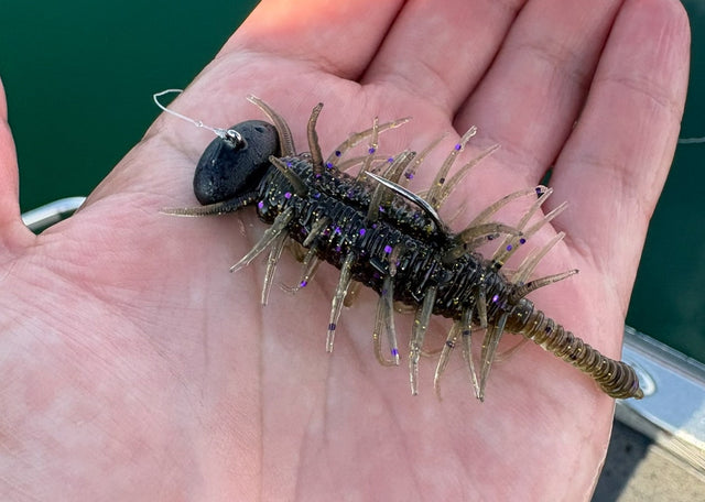 Great Lakes Finesse Vibra Bug prototype rigged in hand; final packaging and included tackle unconfirmed