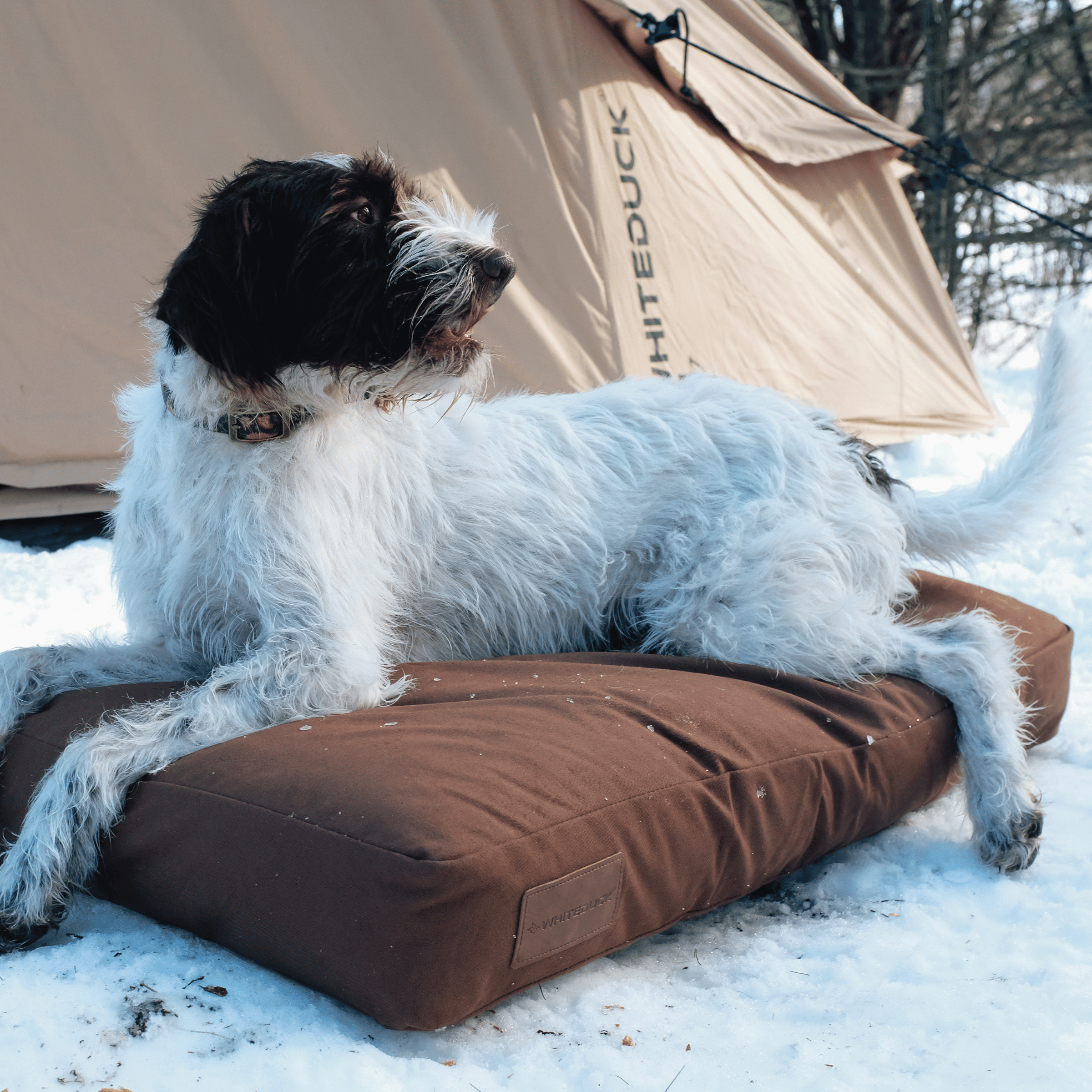 White Duck Dog Bed