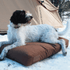White Duck Dog Bed