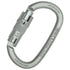 OVALONE CARBON AUTO BLOCK ANSI Carabiner