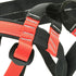 FEDRA Harness
