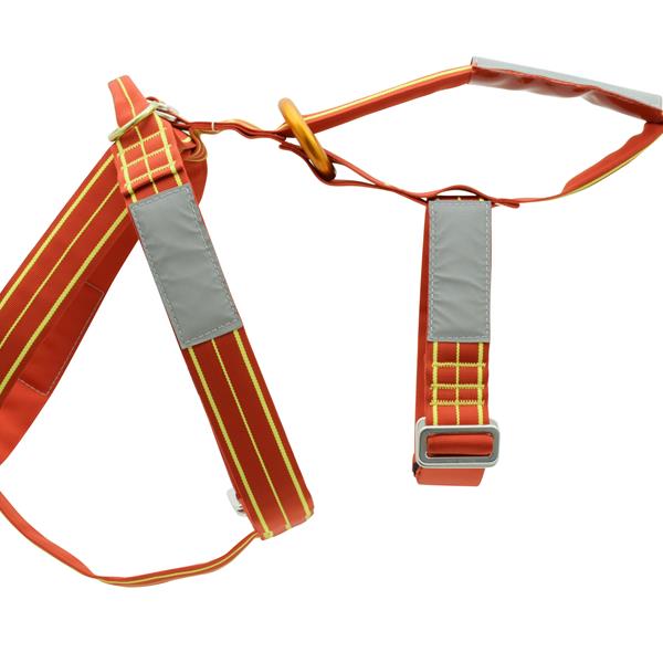 LAIT Harness