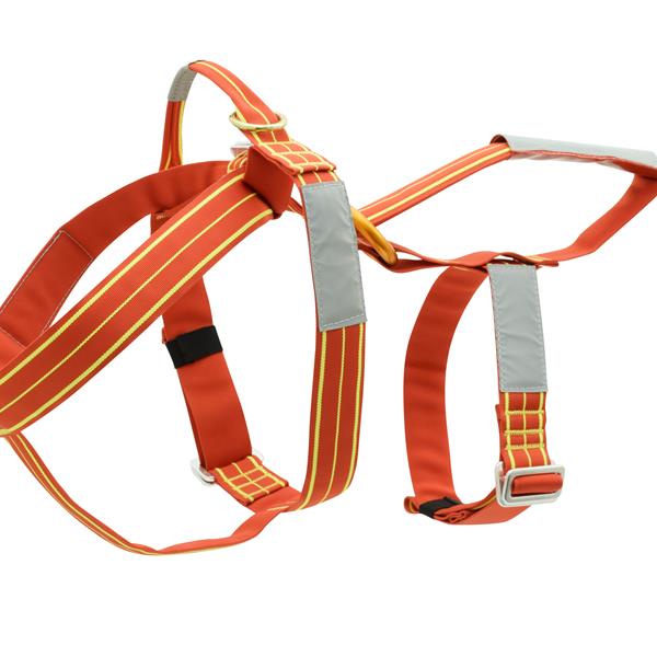 LAIT Harness