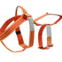 LAIT Harness