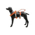 LAIT Harness