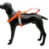 LAIT Harness