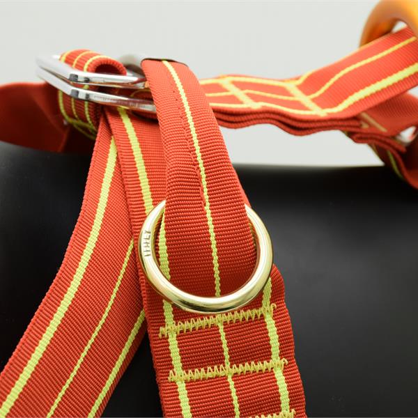LAIT Harness