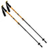 TRIGA Trekking Pole