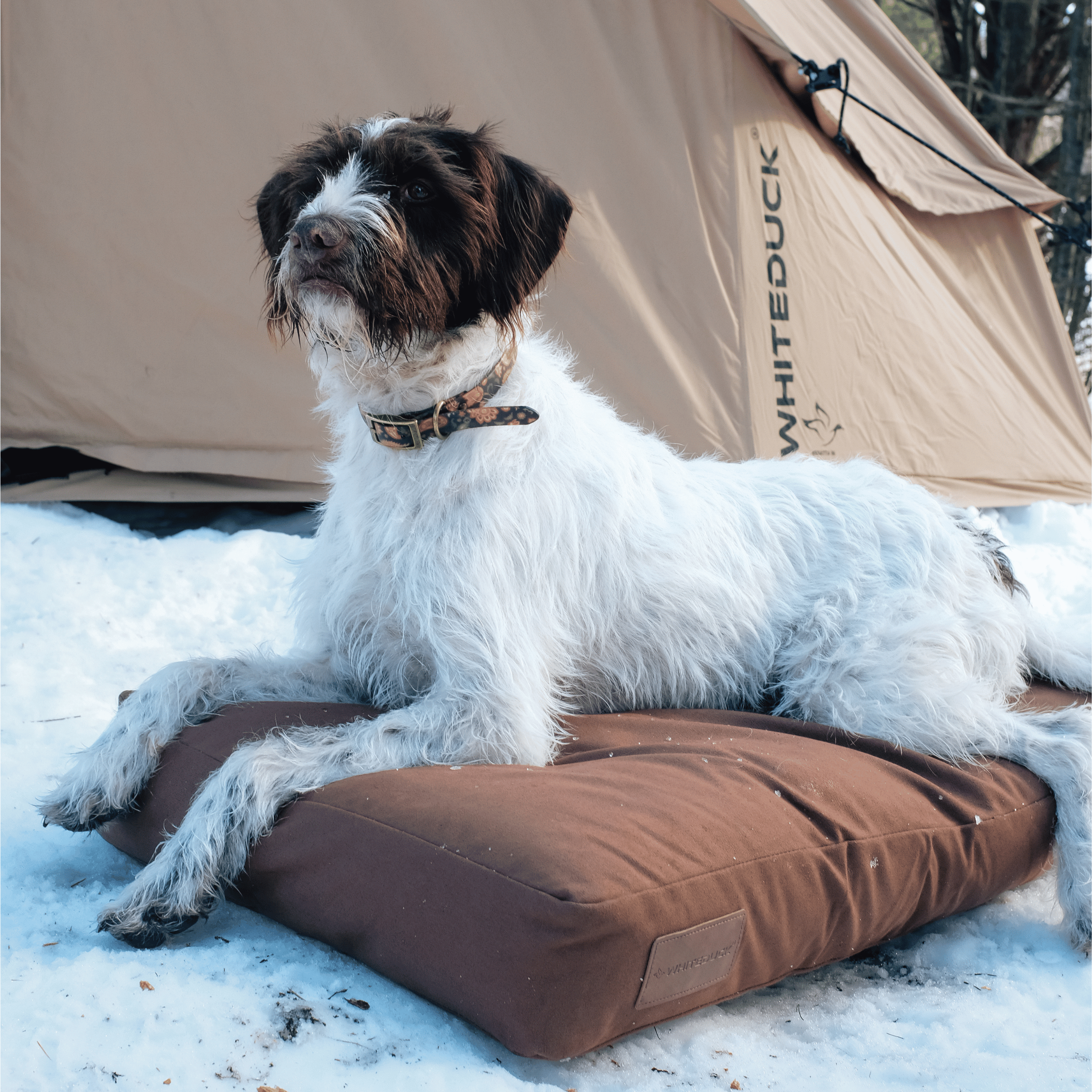 White Duck Dog Bed
