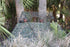 Nukem Double Up System - Mossy Oak Greenleaf 3D Leafy – product image 4