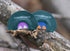 Longbranch Game Calls Batwing Bundle
