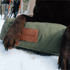 White Duck Dog Bed