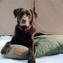 White Duck Dog Bed