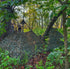 Nukem Hunting Blind - Mossy Oak Greenleaf 3D Leafy – product image 1