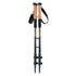 Alpen Carbon Trekking Poles Set — product view 1