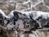 Alpine Spot Slicker NX2 Spotting Scope Cover