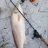 KISTLER Salt Series Fishing Rods — product image 23