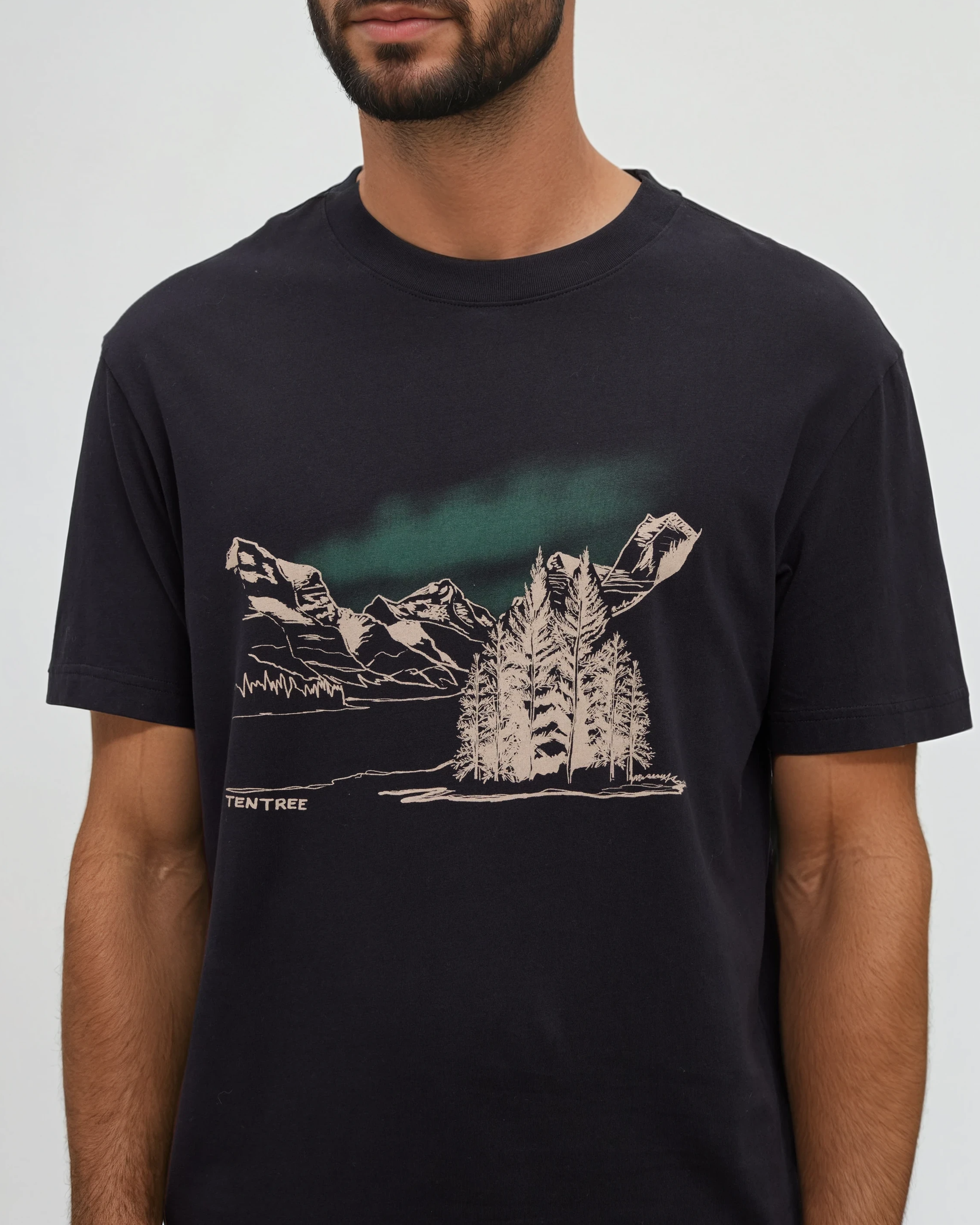 Tentree Men's Parks Landscape Relaxed T-Shirt - Meteorite Black Pine Green