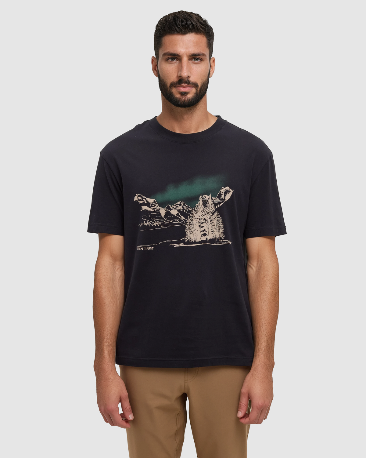 Tentree Men's Parks Landscape Relaxed T-Shirt - Meteorite Black Pine Green