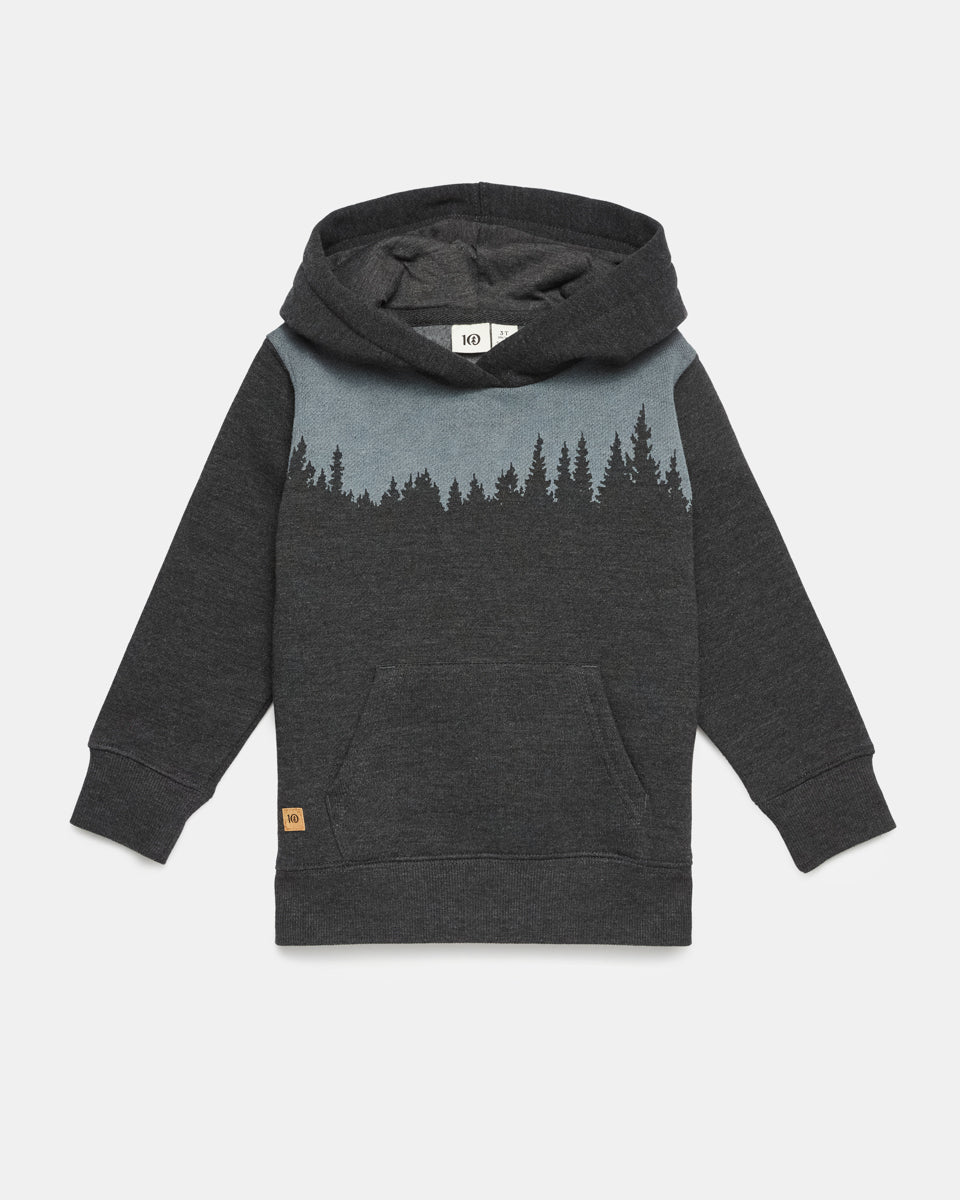 Tentree Kids Juniper Hoodie - Meteorite Black Heather