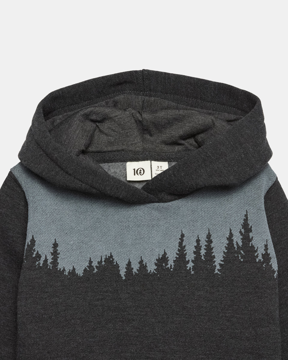 Tentree Kids Juniper Hoodie - Meteorite Black Heather