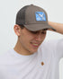 Tentree Lake Logo Altitude Hat - Timber Seagull