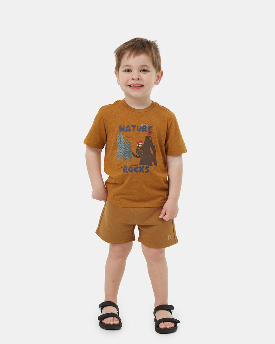 Tentree Kids Nature Rocks T-Shirt - Golden Brown Heather Crown Blue