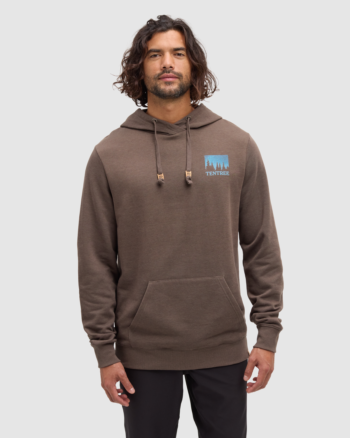 Tentree Men's Parks Midnight Forest Hoodie - Ashwood Midnight Forest