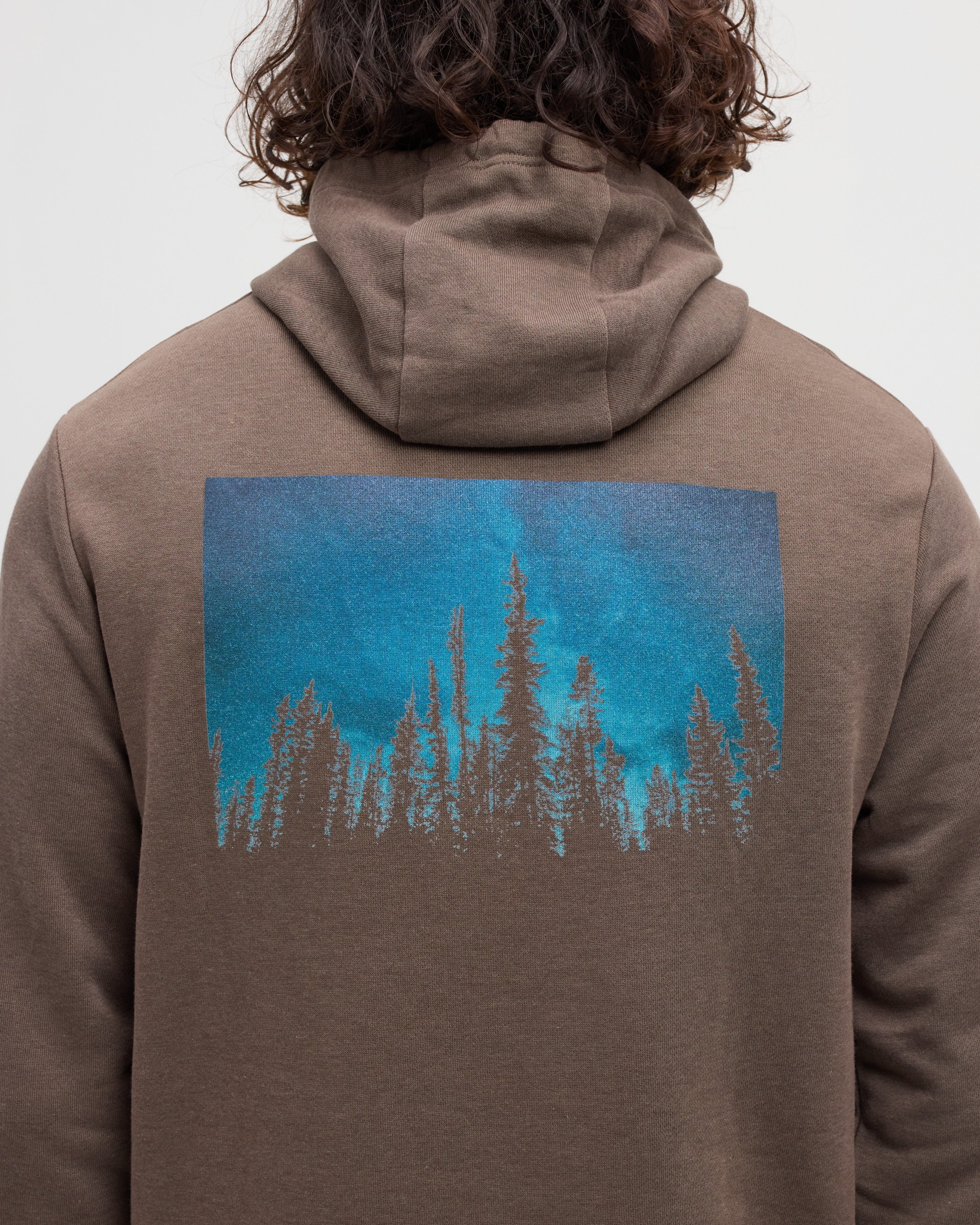 Tentree Men's Parks Midnight Forest Hoodie - Ashwood Midnight Forest