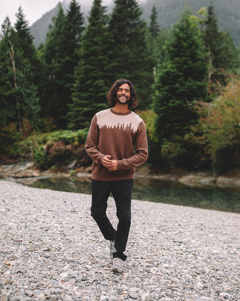 Tentree Men's Juniper Sweater - Clove Birchwood