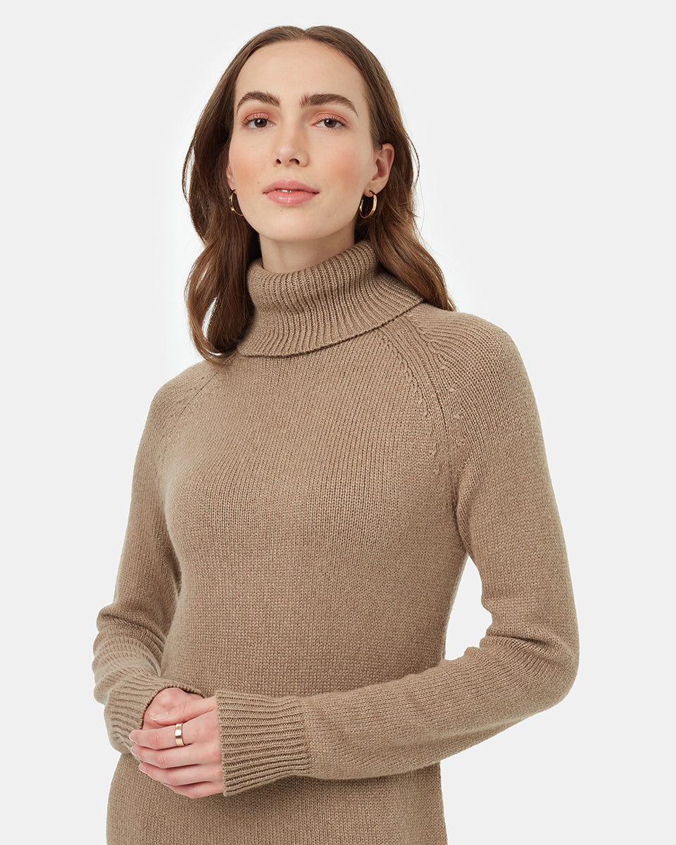 Tentree Women's Highline Turtleneck Maxi Dress - Fossil Heather
