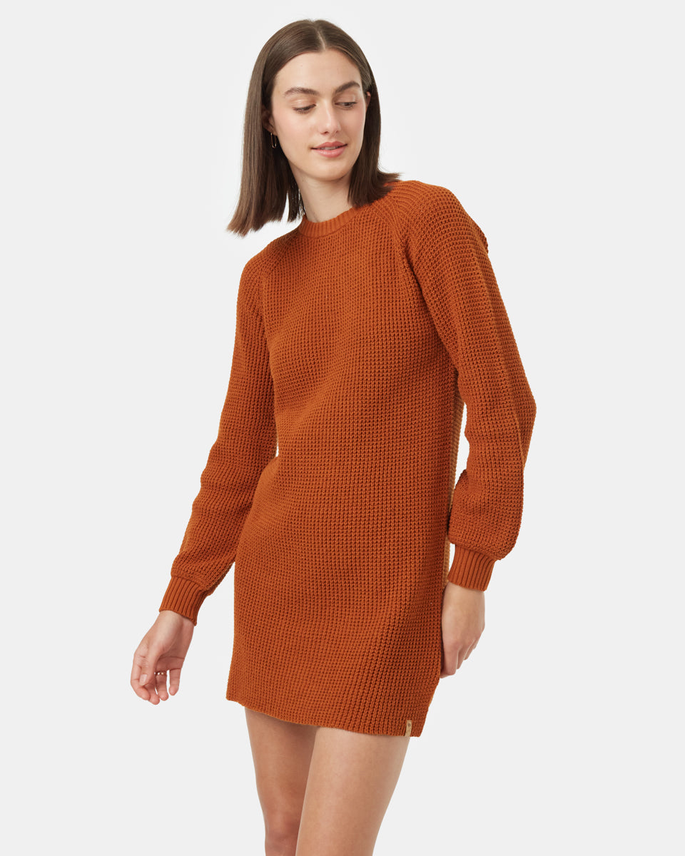 Tentree Women's Highline Crew Neck Dress - Toffee