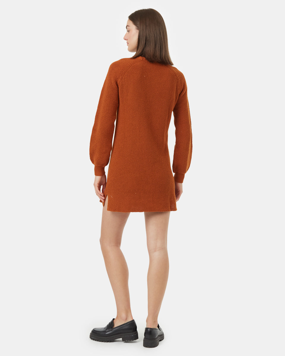 Tentree Women's Highline Crew Neck Dress - Toffee