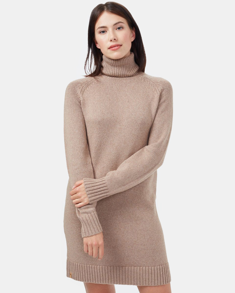 Tentree Highline Turtleneck Dress - Foxtrot Brown Heather