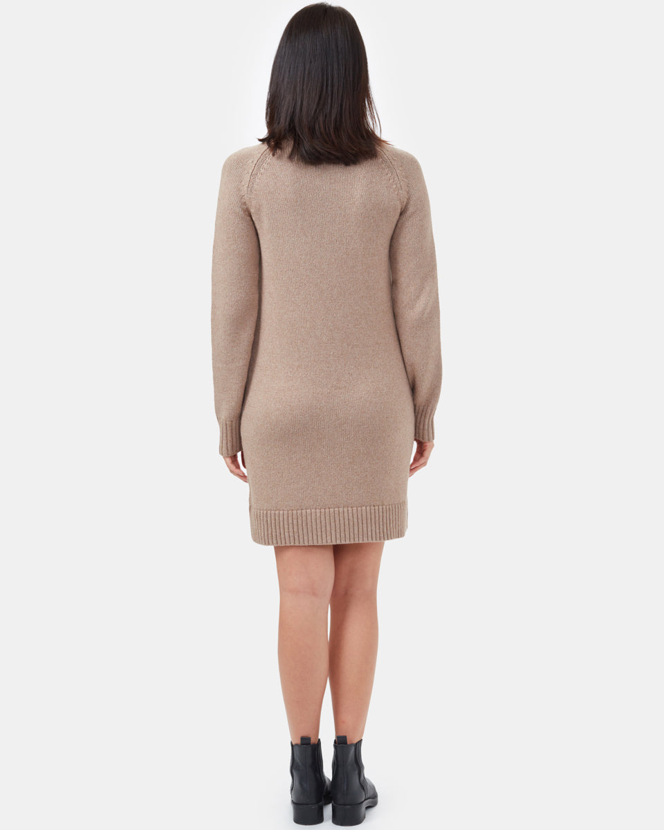 Tentree Highline Turtleneck Dress - Foxtrot Brown Heather