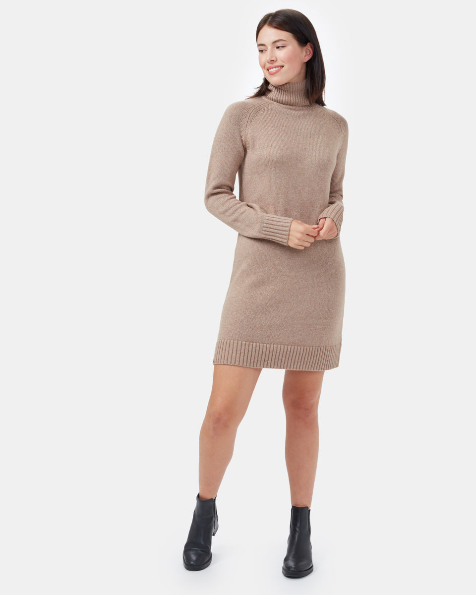 Tentree Highline Turtleneck Dress - Foxtrot Brown Heather