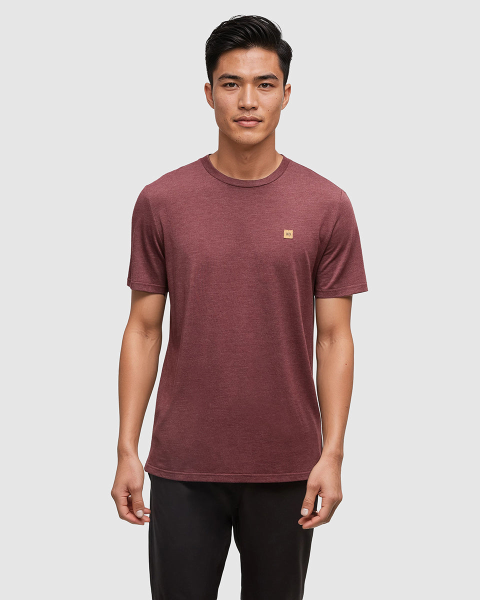 Tentree Men's TreeBlend Baker T-Shirt - Deep Burgundy Heather