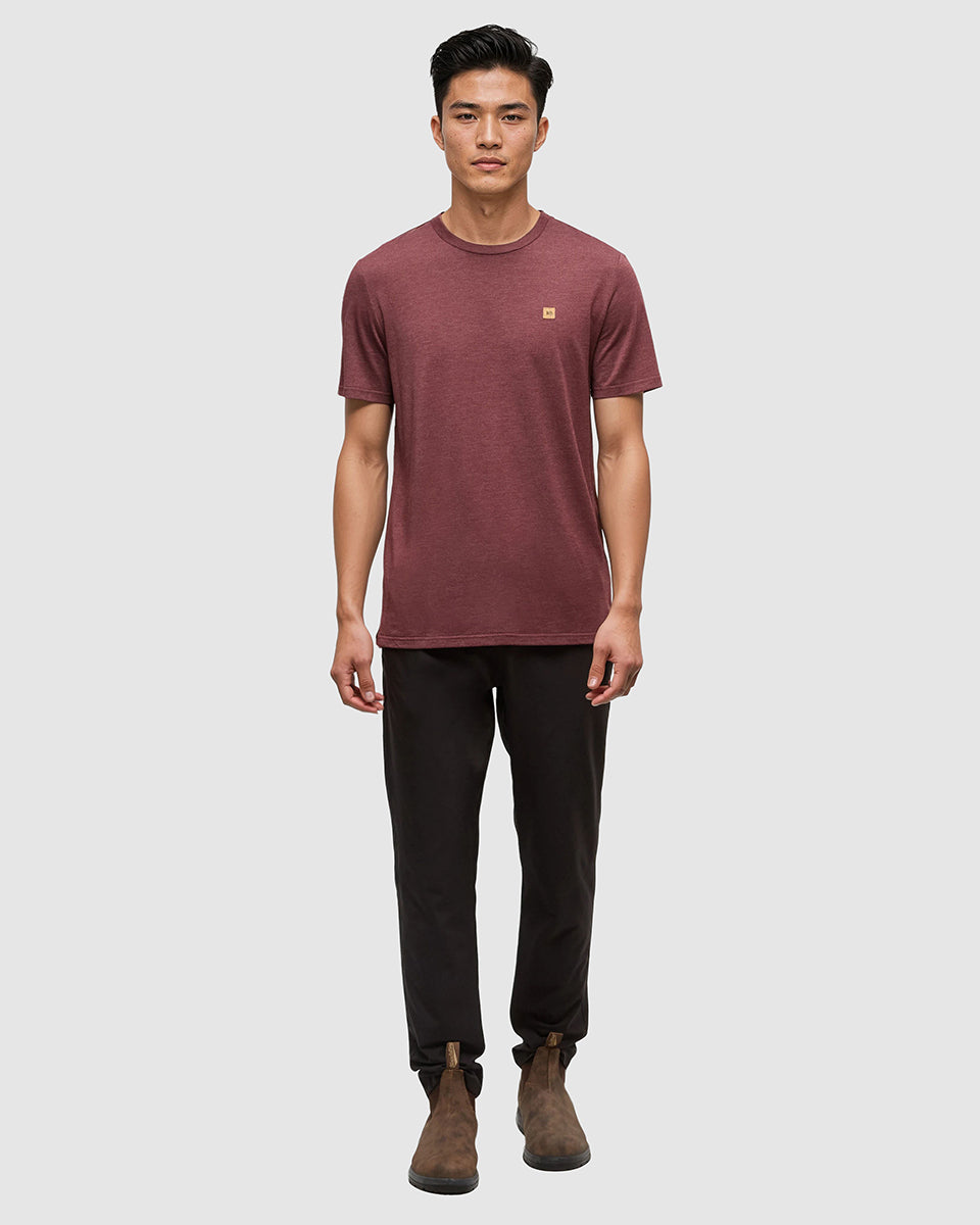Tentree Men's TreeBlend Baker T-Shirt - Deep Burgundy Heather